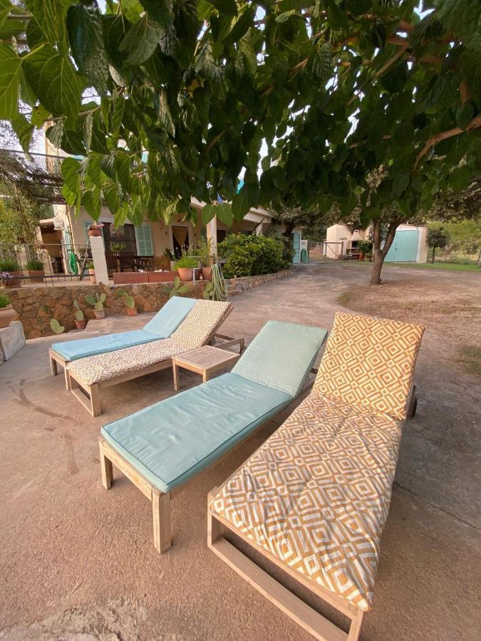 Ses Alzines Apartamento Integrado En Casa Rural Habitada Льюкмайор Экстерьер фото